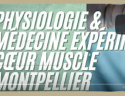 Unité PHYMEDEXP