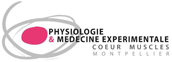 PhyMedExp Logo